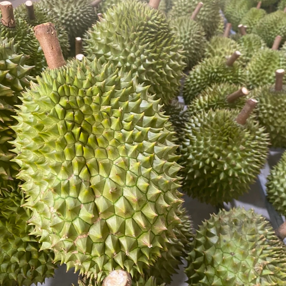 Fresh Delicious Ri6 Durian Vietnam Creamy Sweet Durian