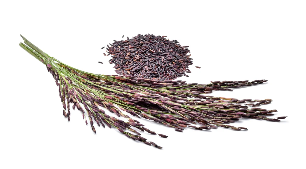  100% натуральный здоровый черный рис разные виды риса среднего зерна/Вьетнамский клейкий (Ms Деми + 84 961 733 400)