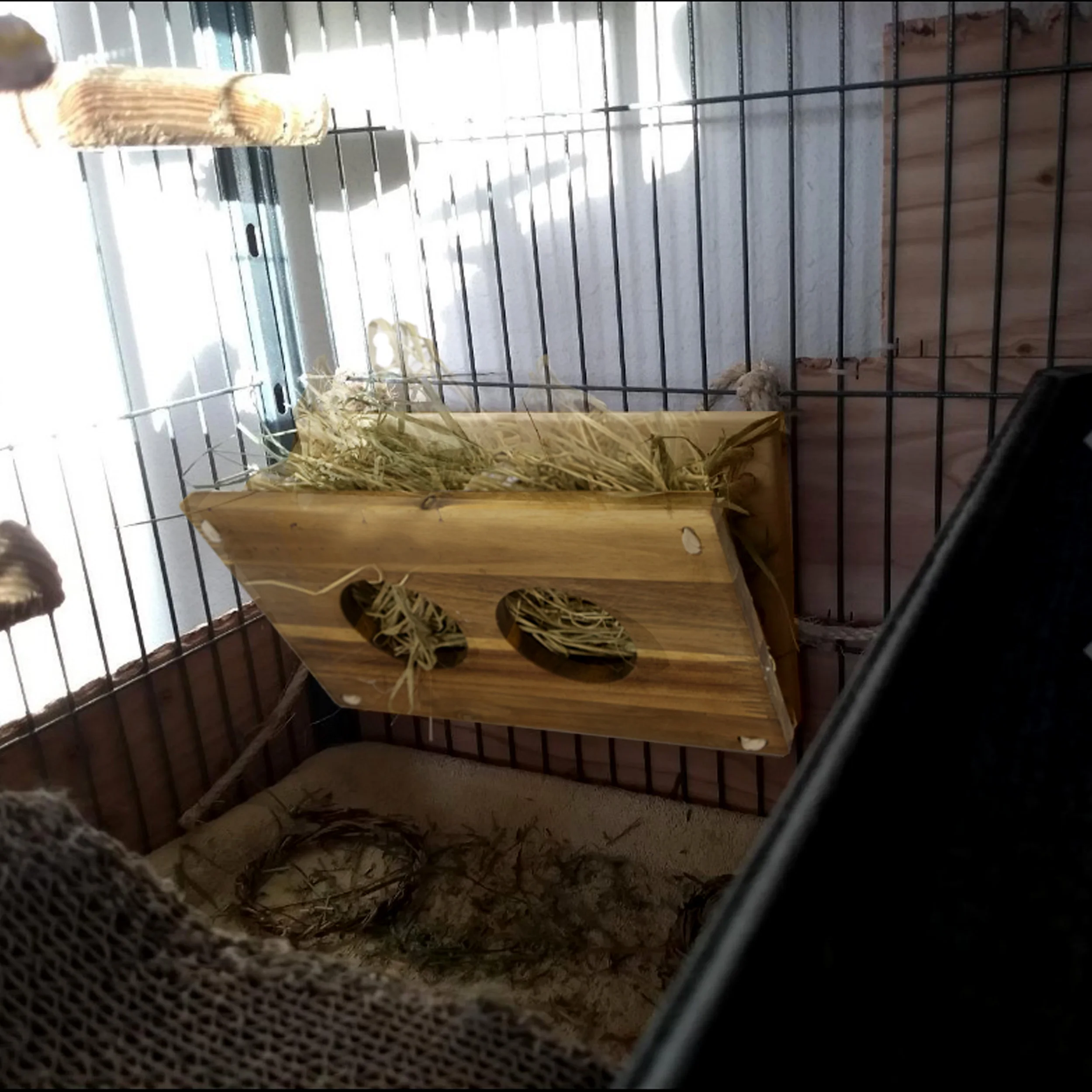 MadeTerra Square Bunny Rabbit Hay Feeder Guinea Pig Food Bowl Chinchilla Hay Bin from Vietnam - Wholesale Supplier of Hay Feeder