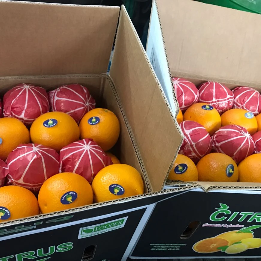 Hot Sales For Egyptian Orange