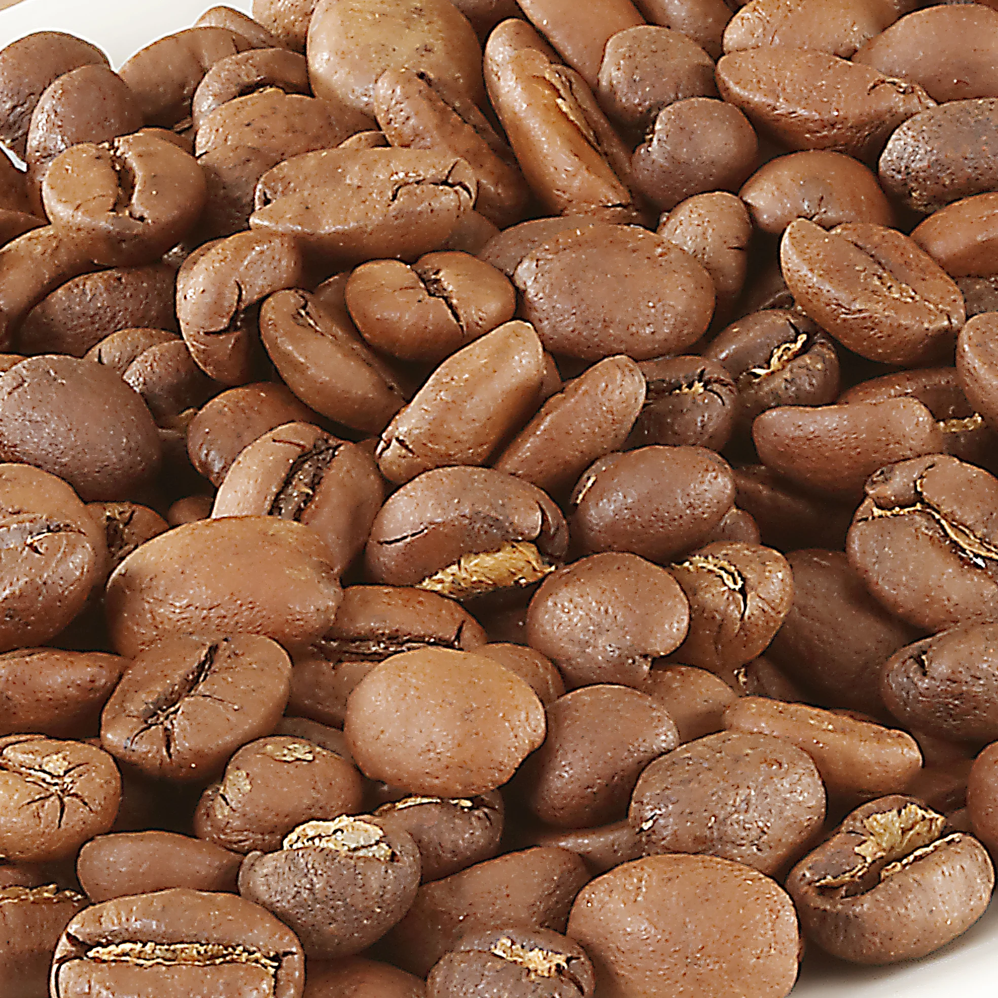 Wholesale New Yellow Bourbon Arabica Drip Coffee coffee powder