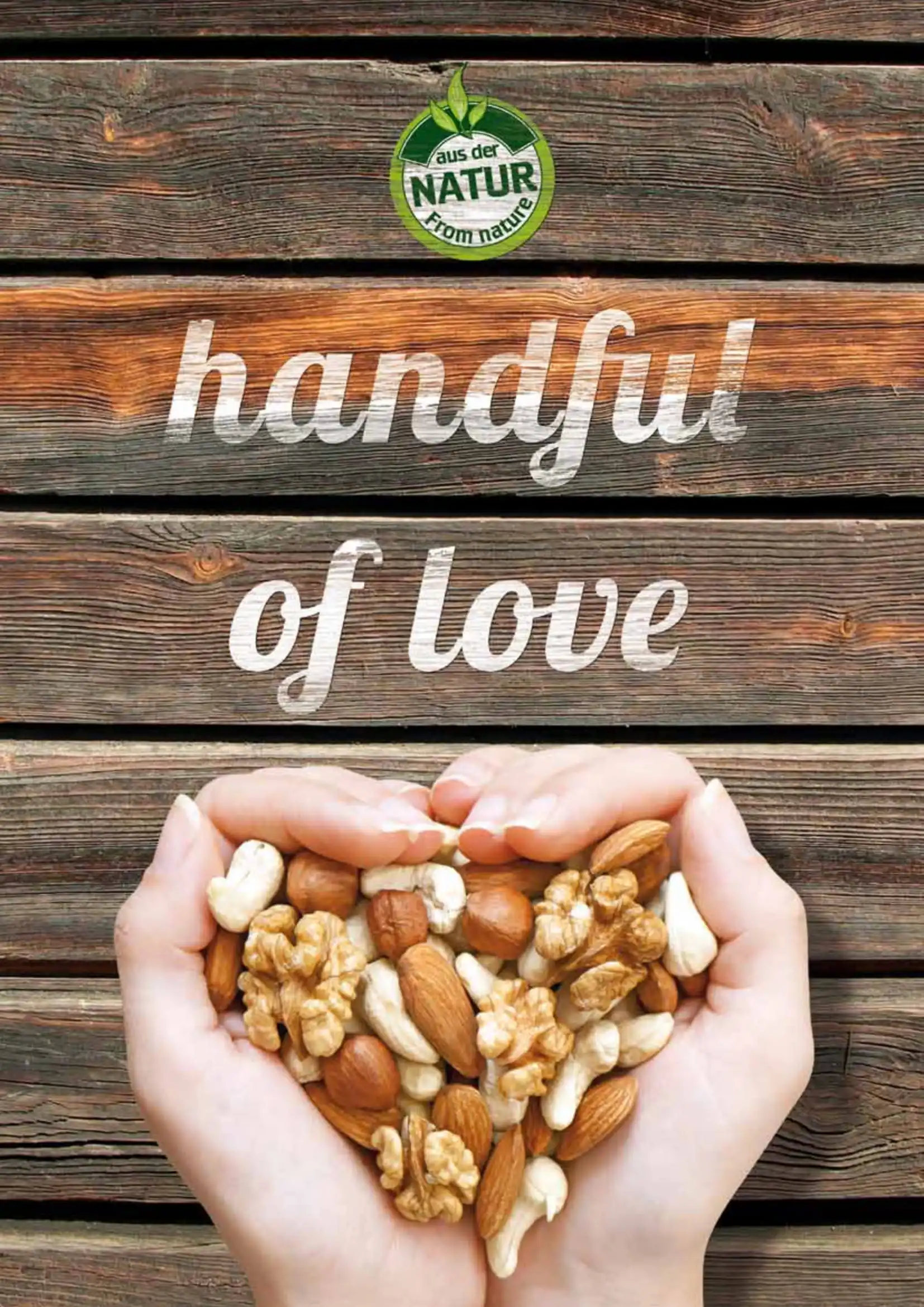 Premium Quality White Sunflower Seed Roasted and Extra Salted