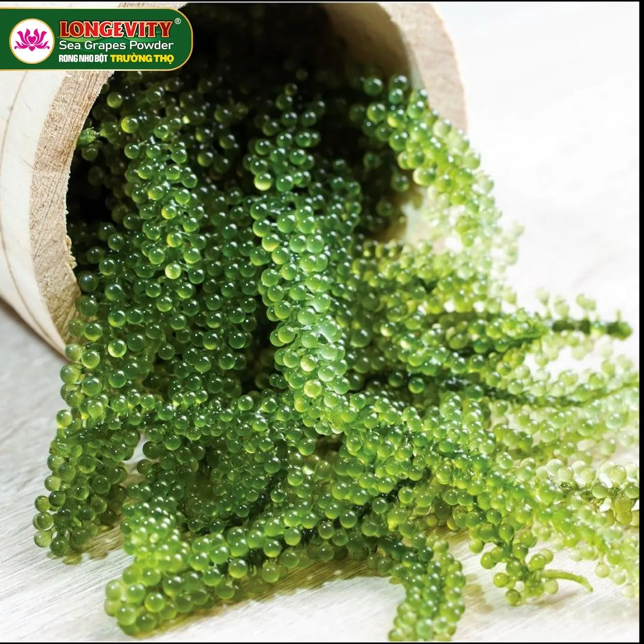 
1kg Weight Organic edible Fresh Pleasant Laver Cool Places Storage Sea Grapes 