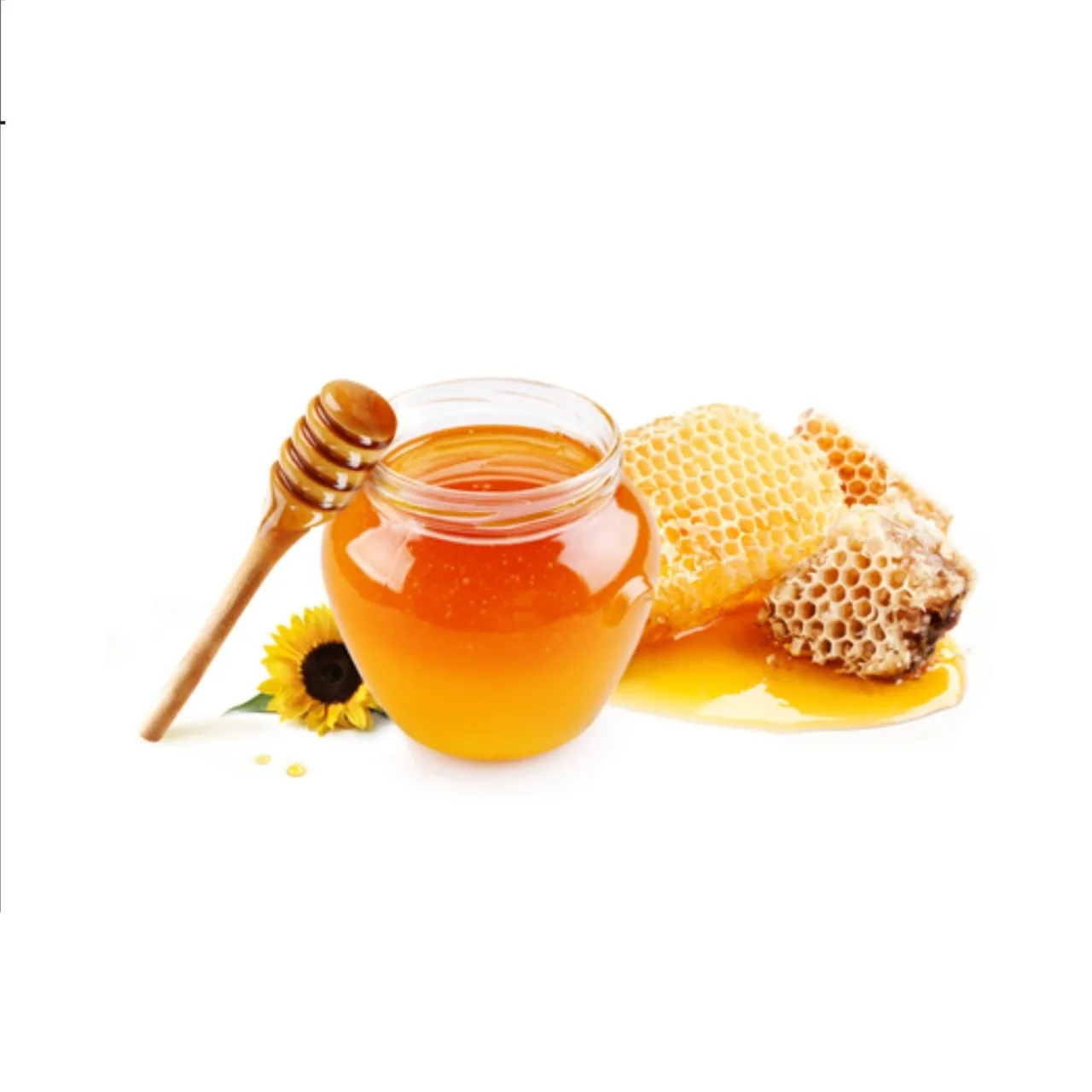 Acacia Honey Suppliers from India rich 100% natural with mecicinal value available at good prices