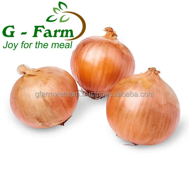 
Fresh onion with high quality VietGAP GlobalGAP 