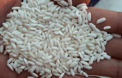 Высококачественный липкий рис An Giang из Вьетнама