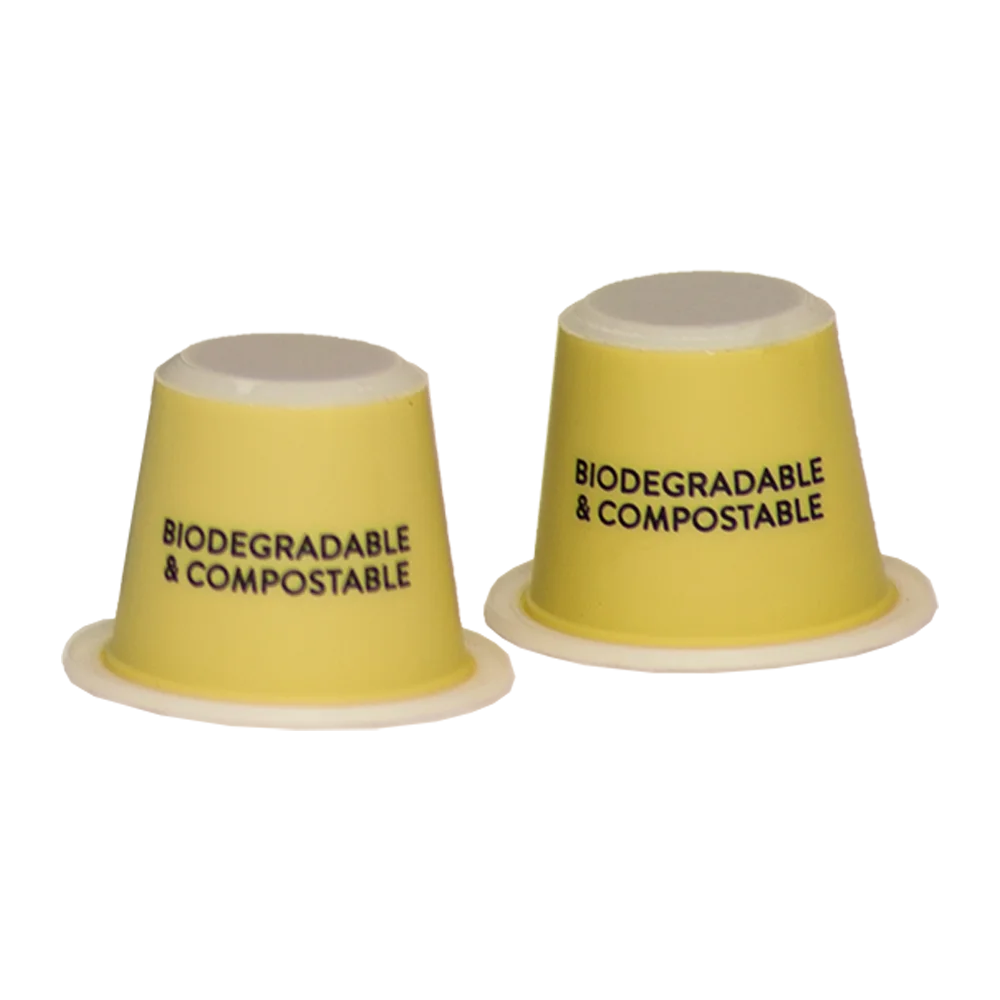 Premium quality Castorino Italian Coffee NESPRESSO Compatible 1 box GOLD ARABICA and 1 box DECAFFEINATED for home / HO.RE.CA.