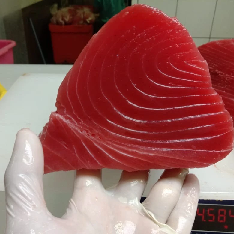 Frozen Tuna CO treatment ( Loins/ Saku/ Steak/ Cube / Strip ) Thunnus Albacares / Thunnus Obesus)