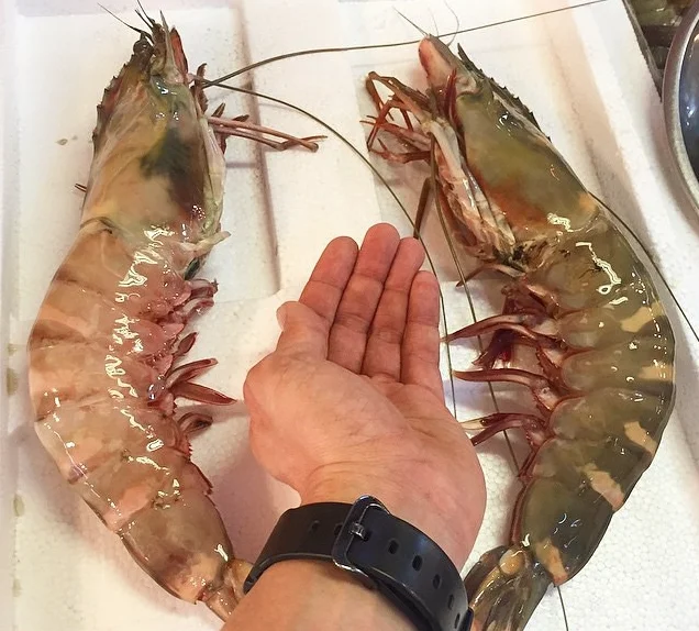 King Prawns, White Shrimps, Black Tiger Shrimps for sale