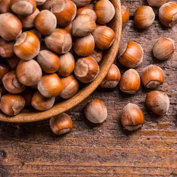 
Hazel NutsRaw Hazelnut / Organic Grade Hazelnut/Hazel Nuts for sale Online 