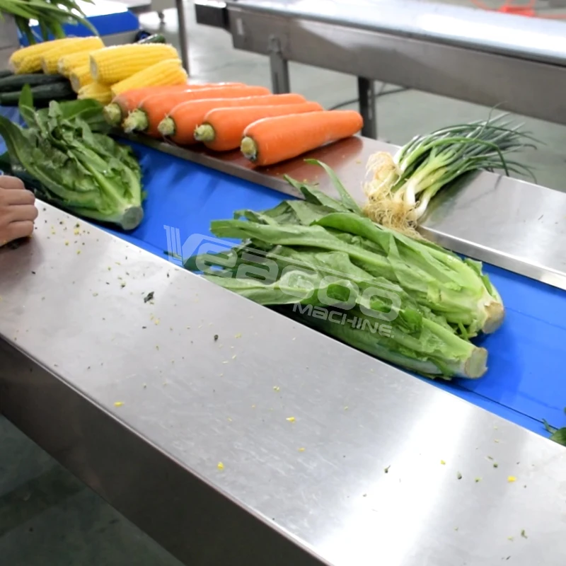 Fully automatic  pillow type fruit and vegetable packing machine