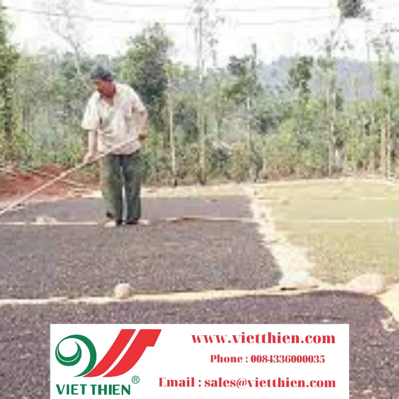 Black pepper is grown in many provinces in the South of Vietnam with a delicious taste ensuring nutrition and safety for users