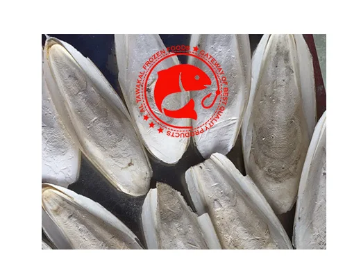 Sun Dried Cuttlefish Bone for