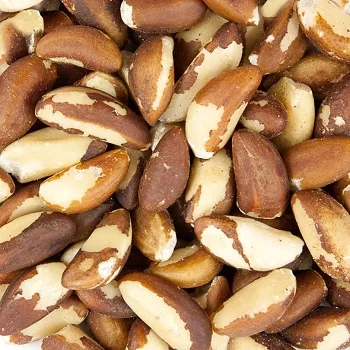 Cheap Brazil Nuts from Bolivia/Peru/Brazil