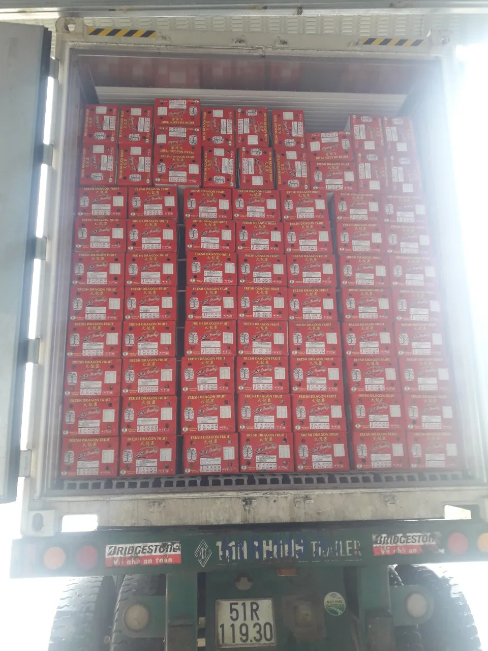 Вьетнамский Свежий фрукт дракона/оптовая продажа фруктов питаи, вьетнамский/очень низкая цена, фрукты красного дракона