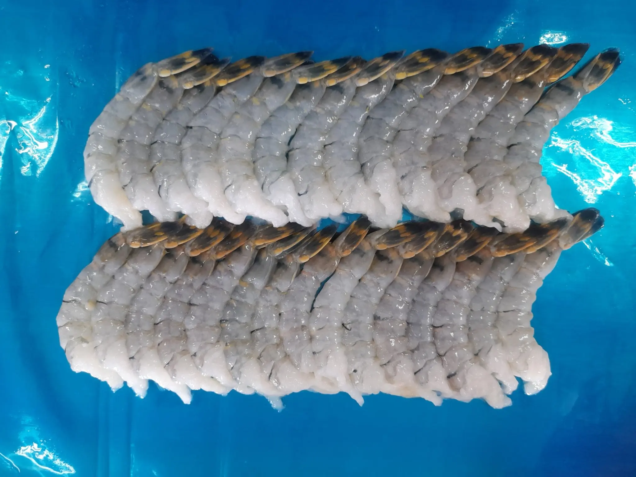 High Standard Raw Vannamei Shrimp HLSO, Headless, Shell On  Frozen Seafood made in Vietnam Shrimp