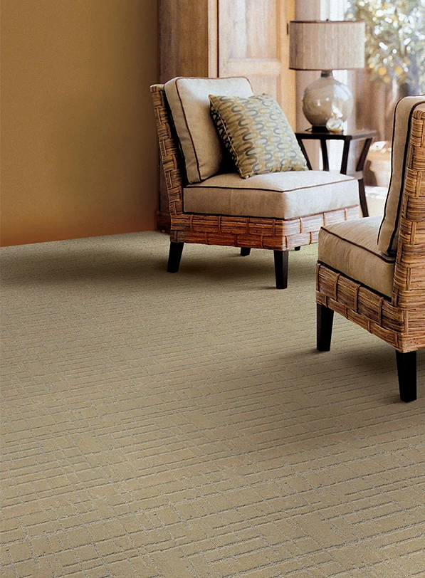 
Rectangle 100% Nylon SOLUTION DYED New Classical Cut Loop Pattern Labelle Wall To Wall Carpet 