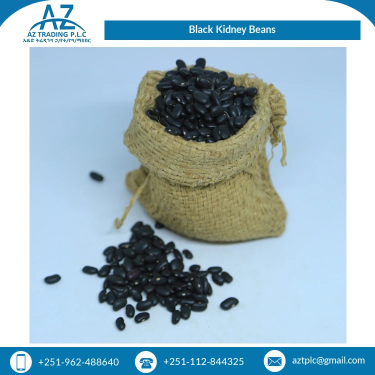 High Quality Machine Cleaned Ethiopian Black Kidney Beans for Bulk Purchasde