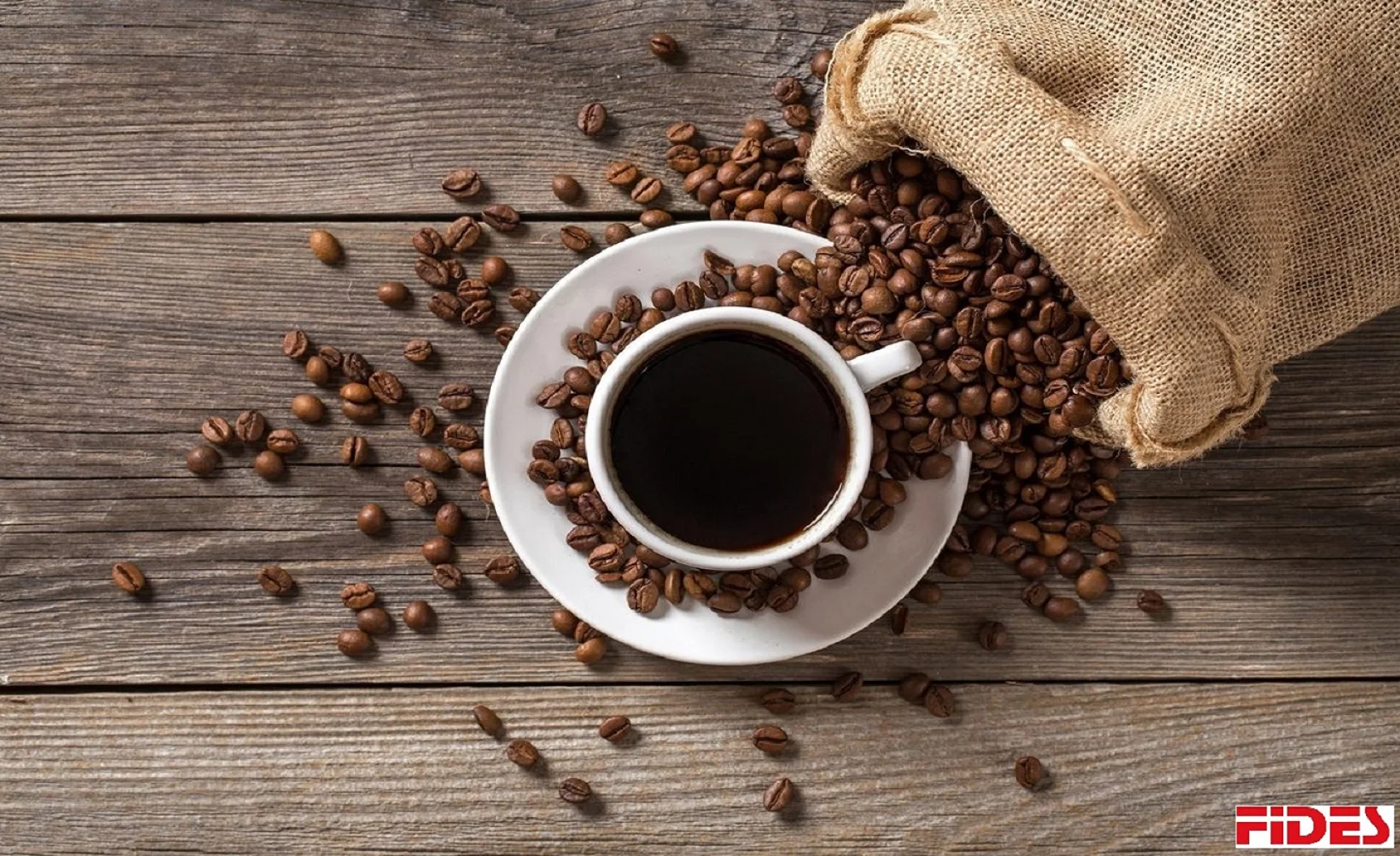 Черные жареные кофейные зерна Robusta из Индии оптом