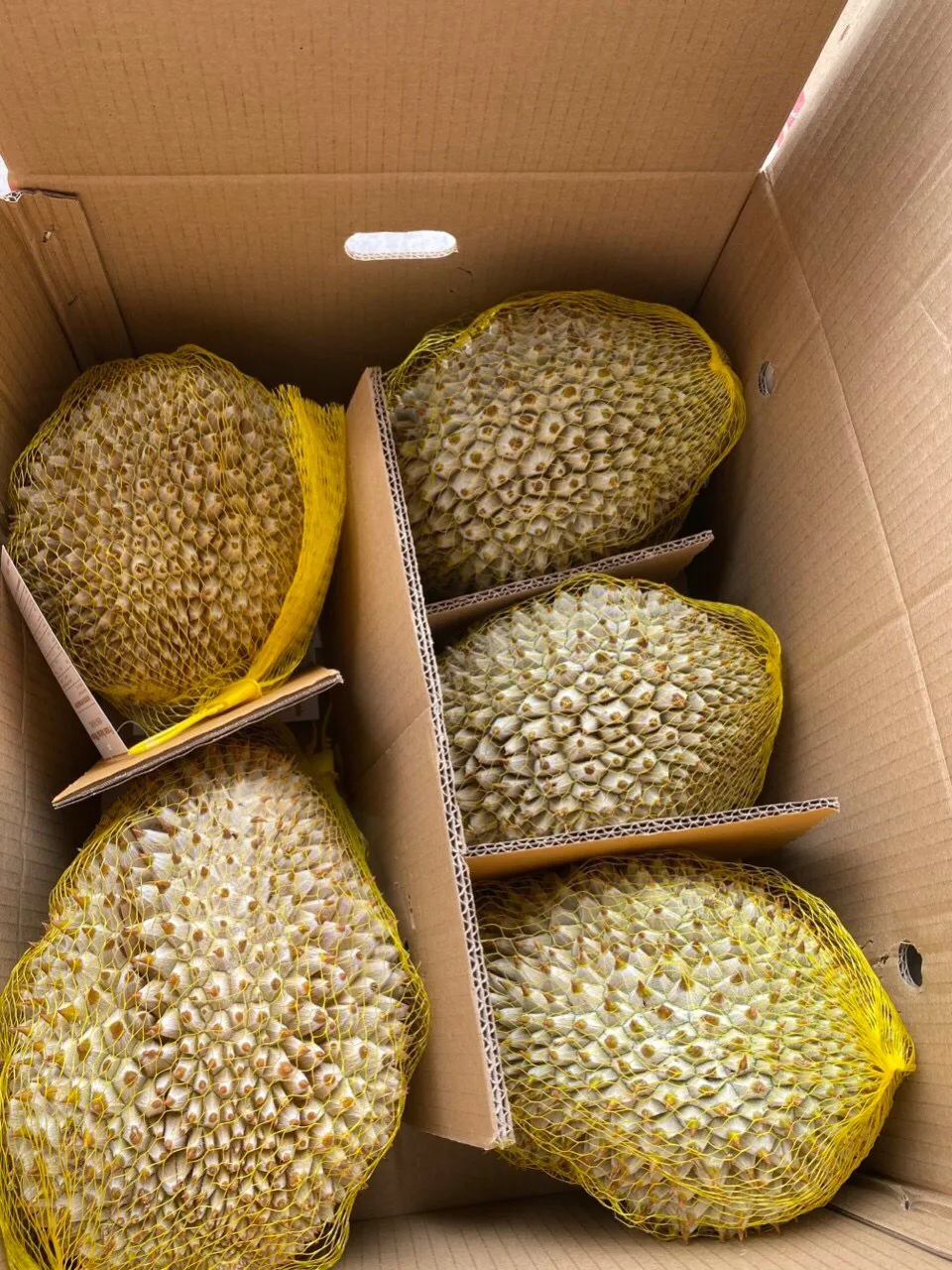 Оптовая цена-Премиум MONTHONG DURIAN урожая из Вьетнама/мисс Триш + 84 984 696 874