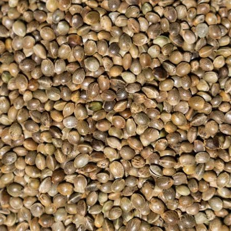 
Hemp Seeds Hulled Hemp Seeds Natural Organic Hulled Hemp Seeds FOR SALE 