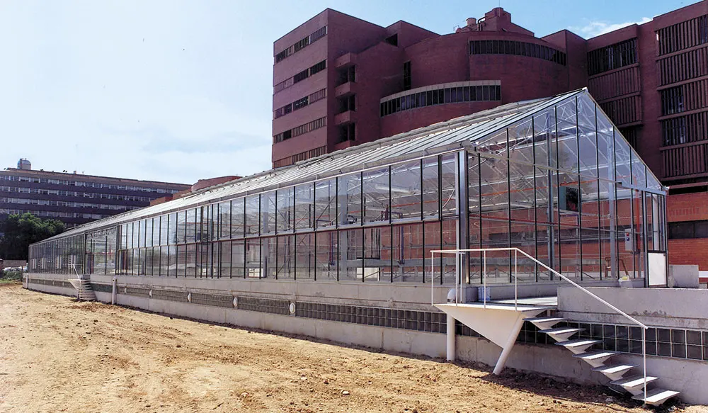 Agricultural Venlo Glass Green house for commerical