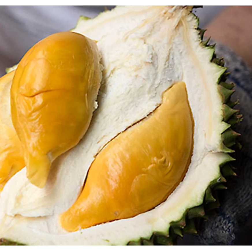 Whole Fruit Durian D13 Malaysia Farm Premium Packing Best Durian Top Quality Frozen Durian Fruits Low Price