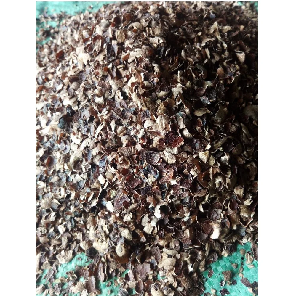 Вьетнамская шкура кешью по конкурентоспособной цене из Вьетнама