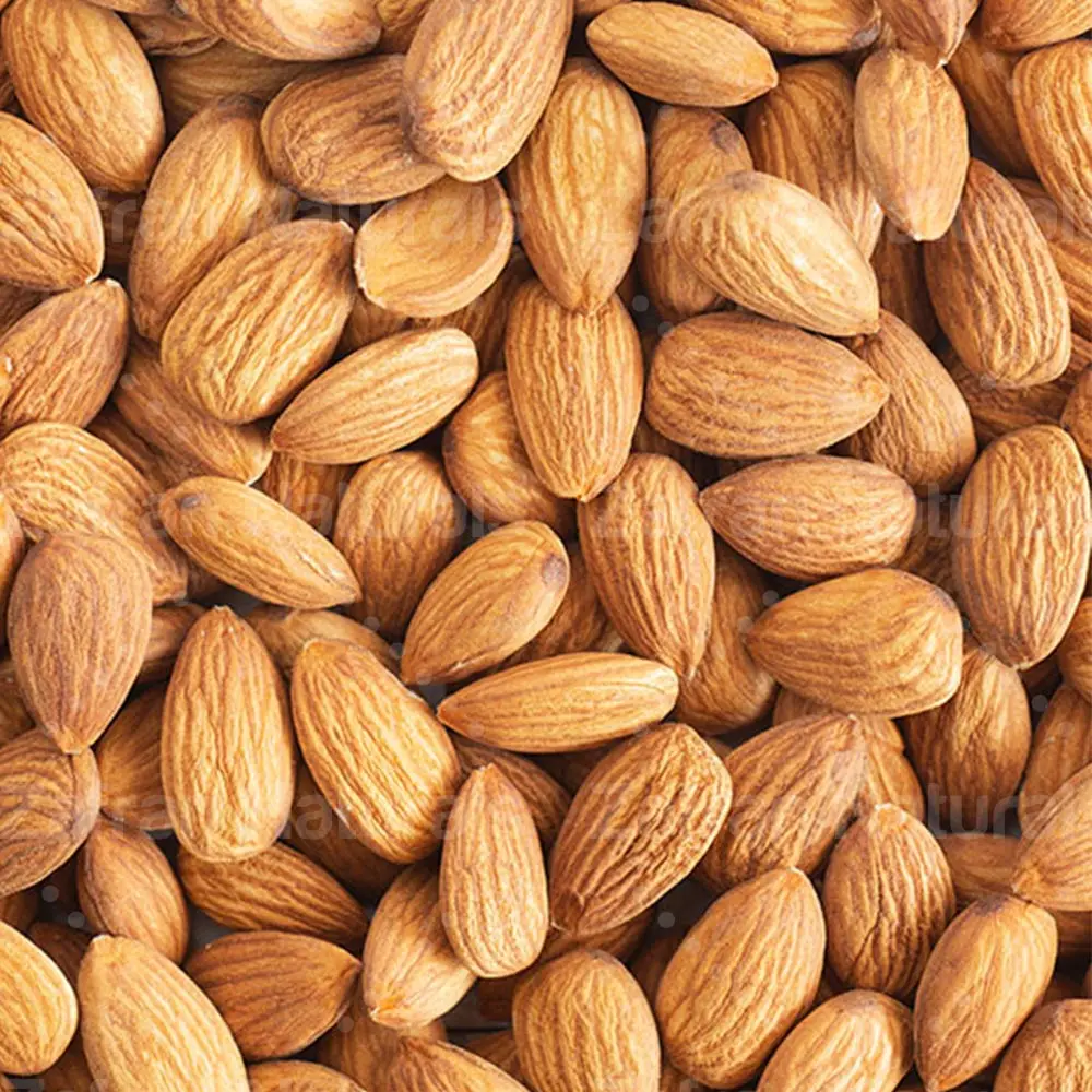 USA Organic Almond Nuts Wholesale Prices Supply Natural-Opening High-Quality Almond ALMONDS Fresh Bulk RAW Whole Sweet CALIFORN