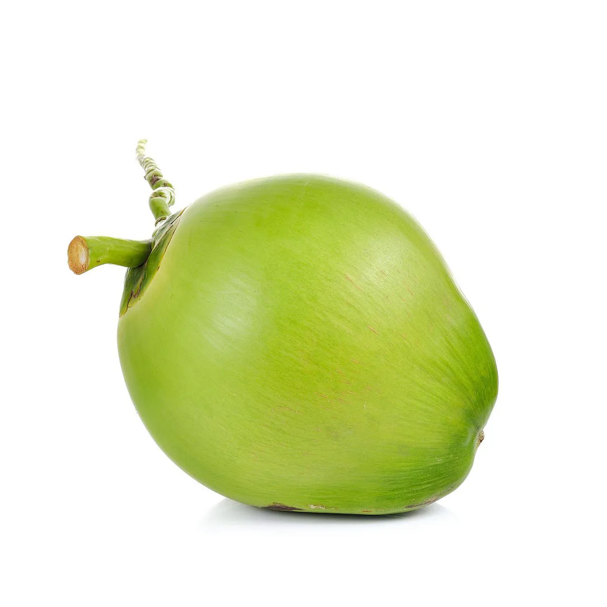 High Quality from VietnamFresh Young Coconut Premium Tropical - 100% organic fresh coconut