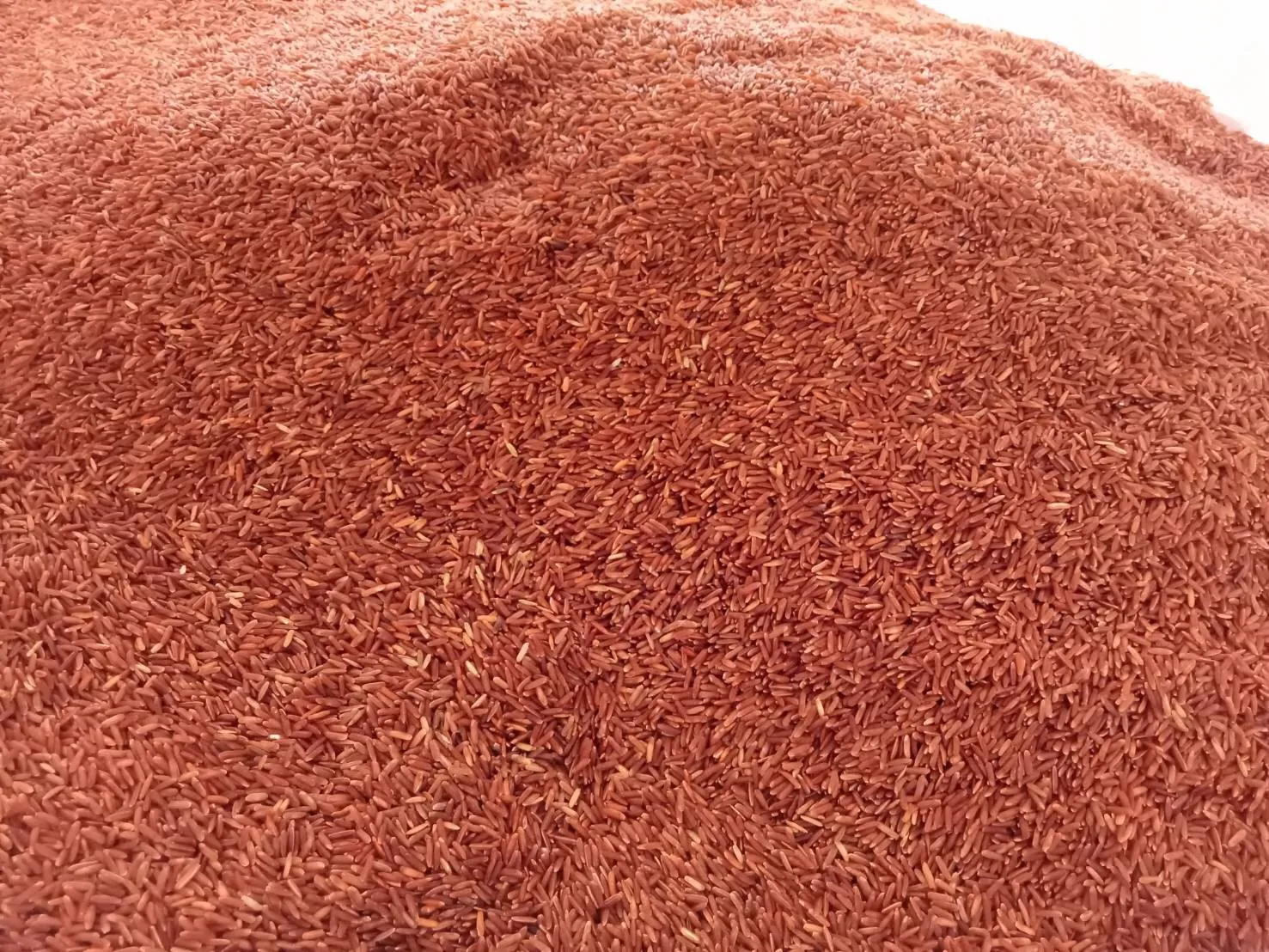 100% Длиннозернистый тайский красный груз рис бренд голубей или OEM от Nopploy Rice