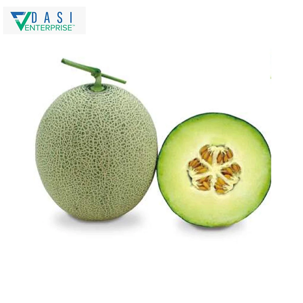  Online Selling Bulk Distributor Of Fresh Natural Muskmelon For Anytime Eatable In Best