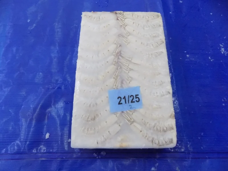 HLSO Frozen Vannamei Shrimps