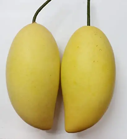 Свежий манго для продажи