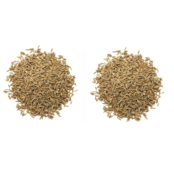 Wholesale Organic Dried Black Cumin Seeds Supplier