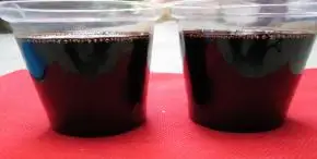 Best Price Cashew Nut Shell Oil From Vietnam With High Quality From Agenas Viet Nam AGENAS