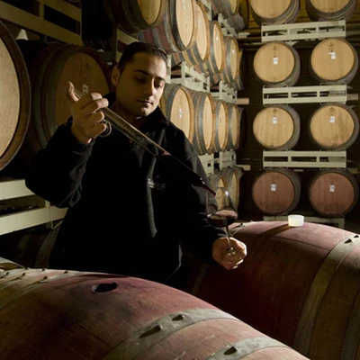 Высококачественное итальянское красное вино-POGGIO DRAGONE sanджоese Merlot 75cl вино спиртовой напиток