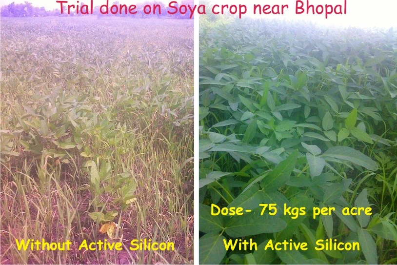 Comparison Active Silicon.JPG