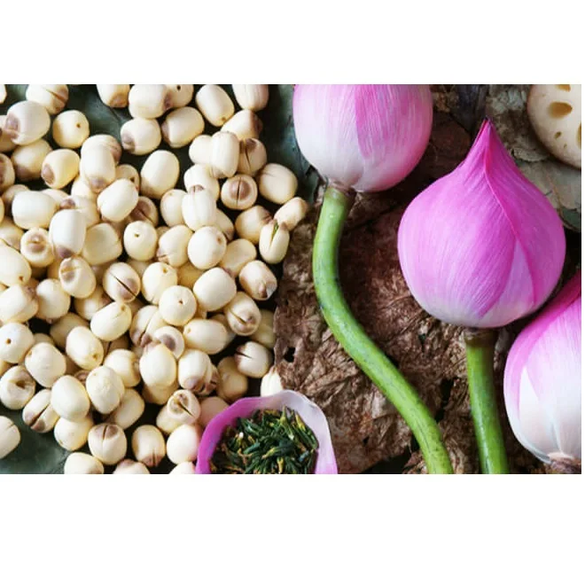 Wholesale Natural Healthy and Nutritious Flower Seeds White Fatty Tasty Fresh Peeled Lotus Seeds For Food/Cook From Vietnam