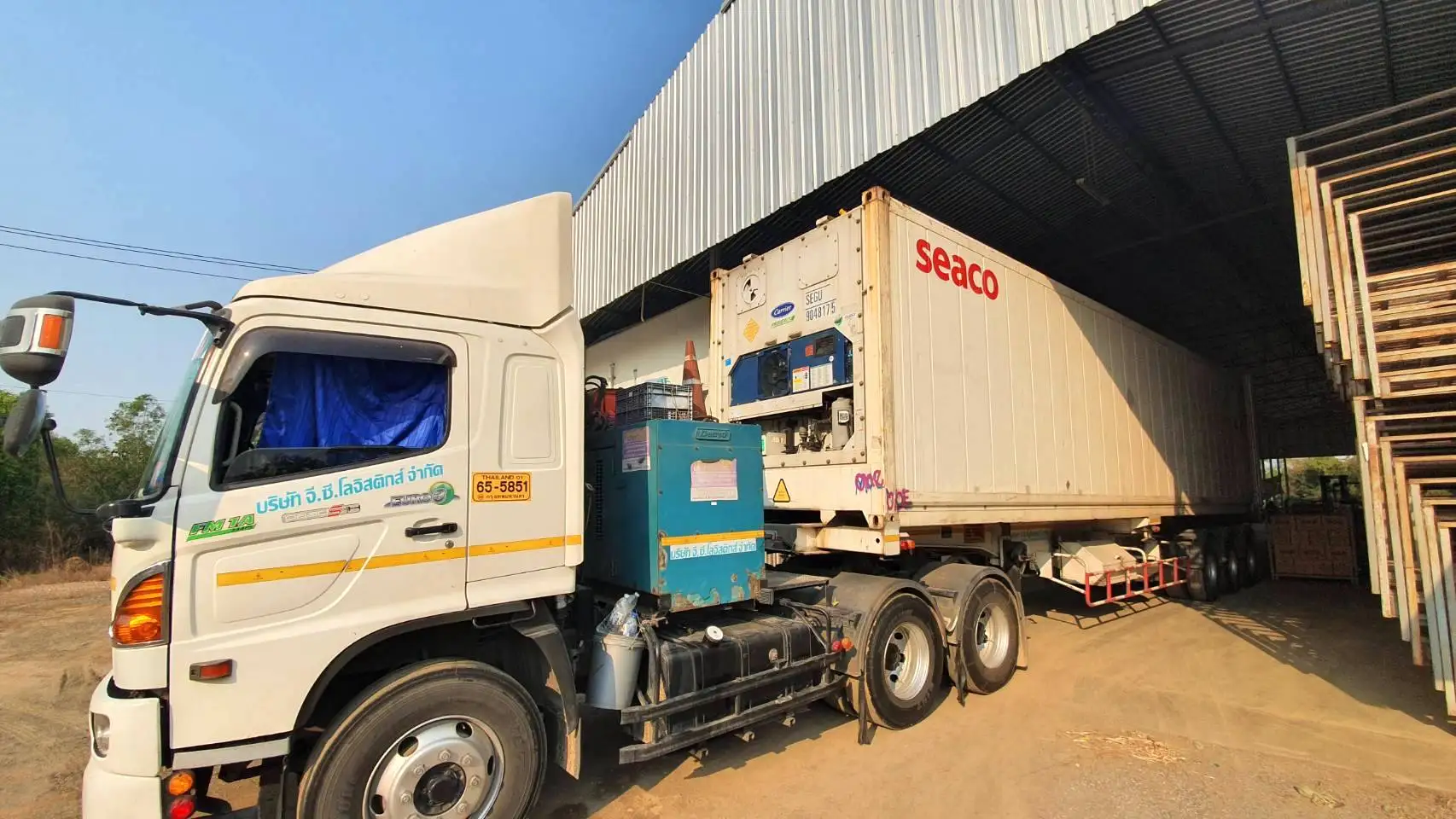 Premium Fresh Red Bell Chili direct from Thailand Farm (Premium Quality Fresh Bell Chili Pepper)