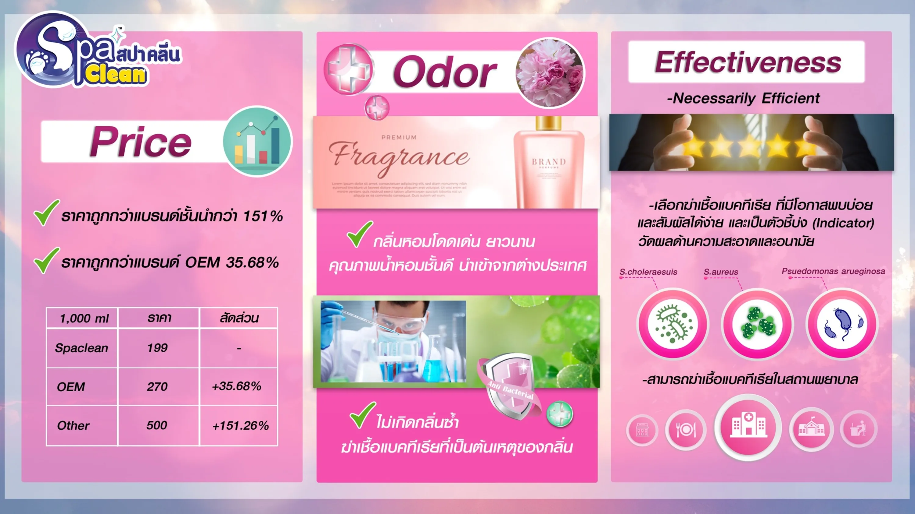 Multipurpose Cleaning Solution & Deodorizer Blossom Aroma 350ml. Spa Clean