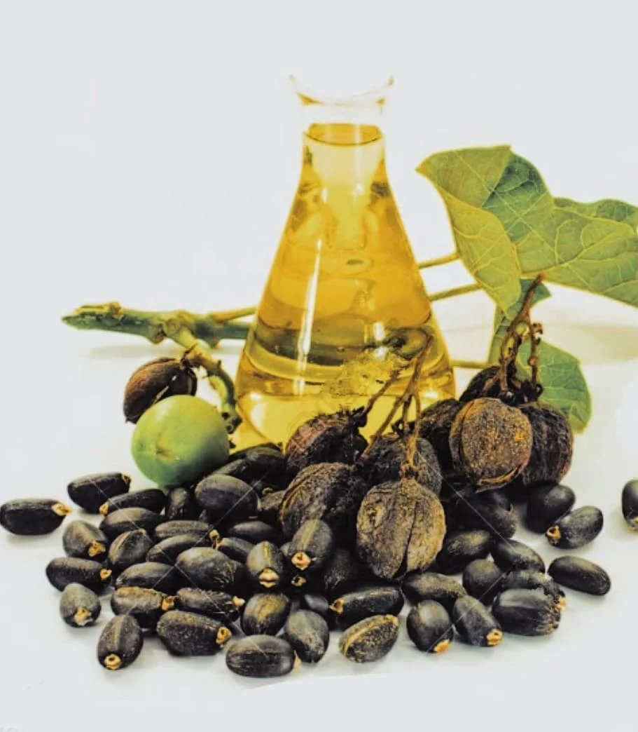 
100% Quality Crude Jatropha Oil for sale 