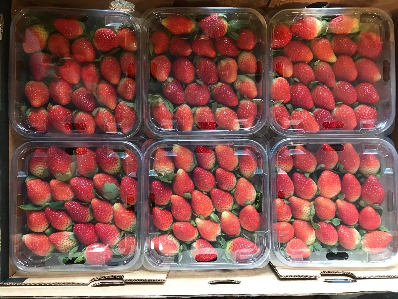 Оптовая продажа хит продаж Вкусная