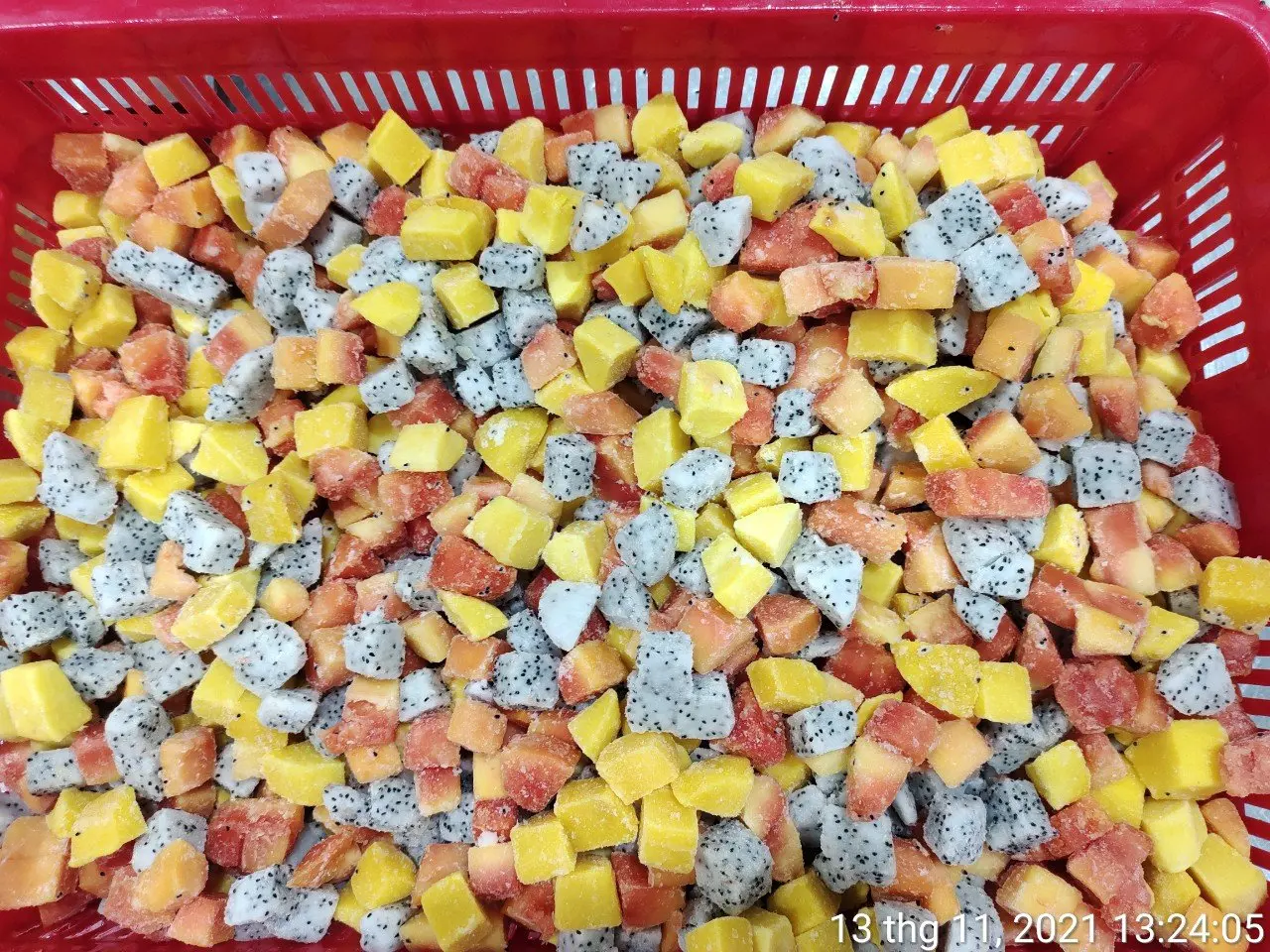 The Best Selling Product - IQF Frozen Mixed Fruit Mango + Red Papaya + White Dragon Fruit Origin Vietnam Export Standard