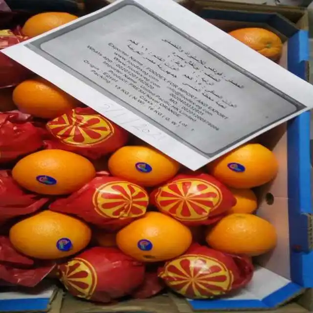 Sweet Delicious Navel Orange For Sale new corp