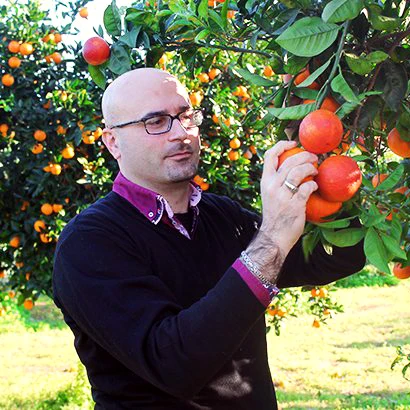 LUXURY ITALIAN TOP QUALITY HANDCRAFT   SYRUP OF CAROBS WITH DRY FIGS 100 ML. FOR SALE