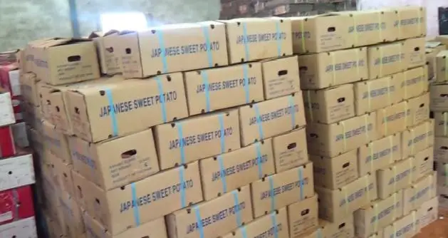 Ha Thanh лучший сладкий фиолетовый картофель доставка из Вьетнама с 3 месяцами зрелости