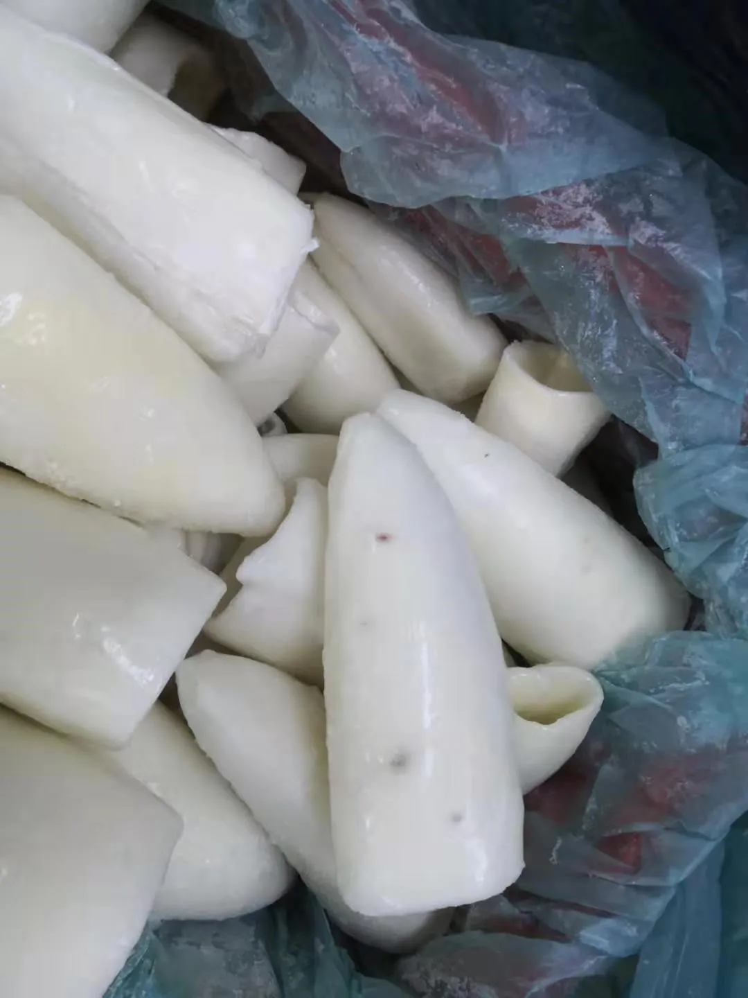 Customize Size Best Price Frozen Whole Cleaned Cuttlefish Roll IQF With 2 Years Shelf Life From Malaysia