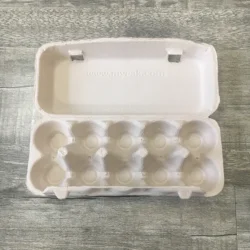 Eco-friendly egg tray  catton of 10 pulp molded box for egg