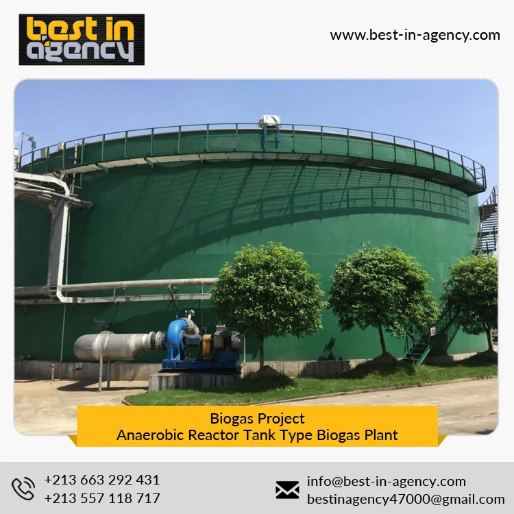 Biogas Project 20000 Nm3/Day Production Anaerobic Reactor Tank Type Biogas Plant Under EPC Mode